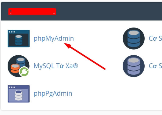 Đăng nhập vào cPanel và mở phpMyAdmin trang web của bạn