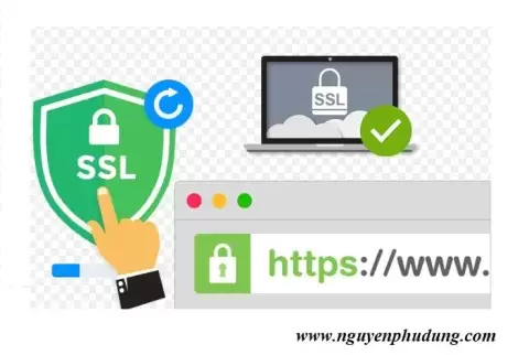 Cài đặt SSL Certificates (Let's Encrypt) trên CentOS 7