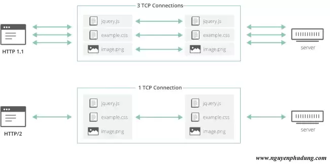 Multiplexing HTTP 1.1 và HTTP/2