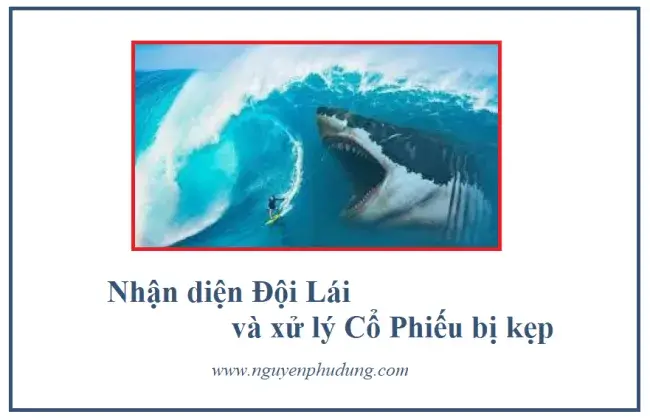  Nhận diện Đội Lái và xử lý Cổ Phiếu bị kẹp
