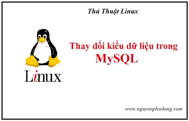 thủ thuật linux- Thay đổi kiểu dữ liệu Mysql an toàn